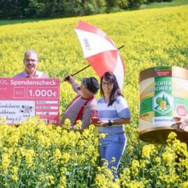 XXXLutz-Bienen bescheren Klinikclowns Würzburg eine 1000-Euro-Spende.